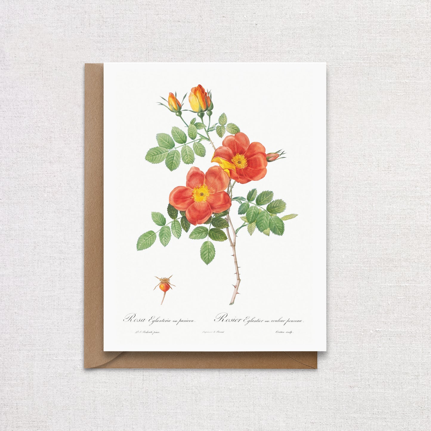 Vintage Orange Floral Greeting Card. Orange Flower Card
