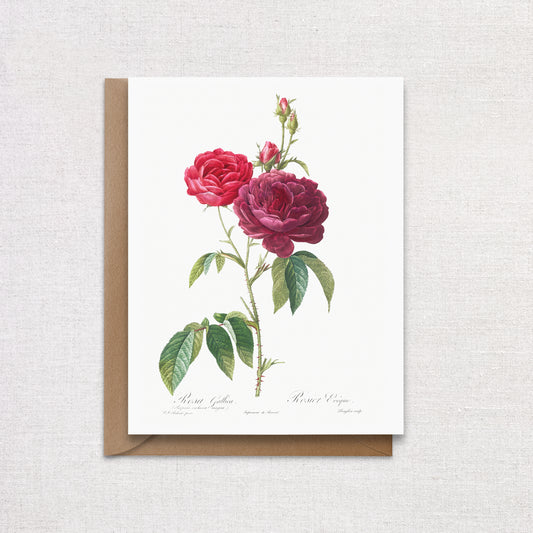 Vintage Floral Greeting Card. Red Rose Flower Card