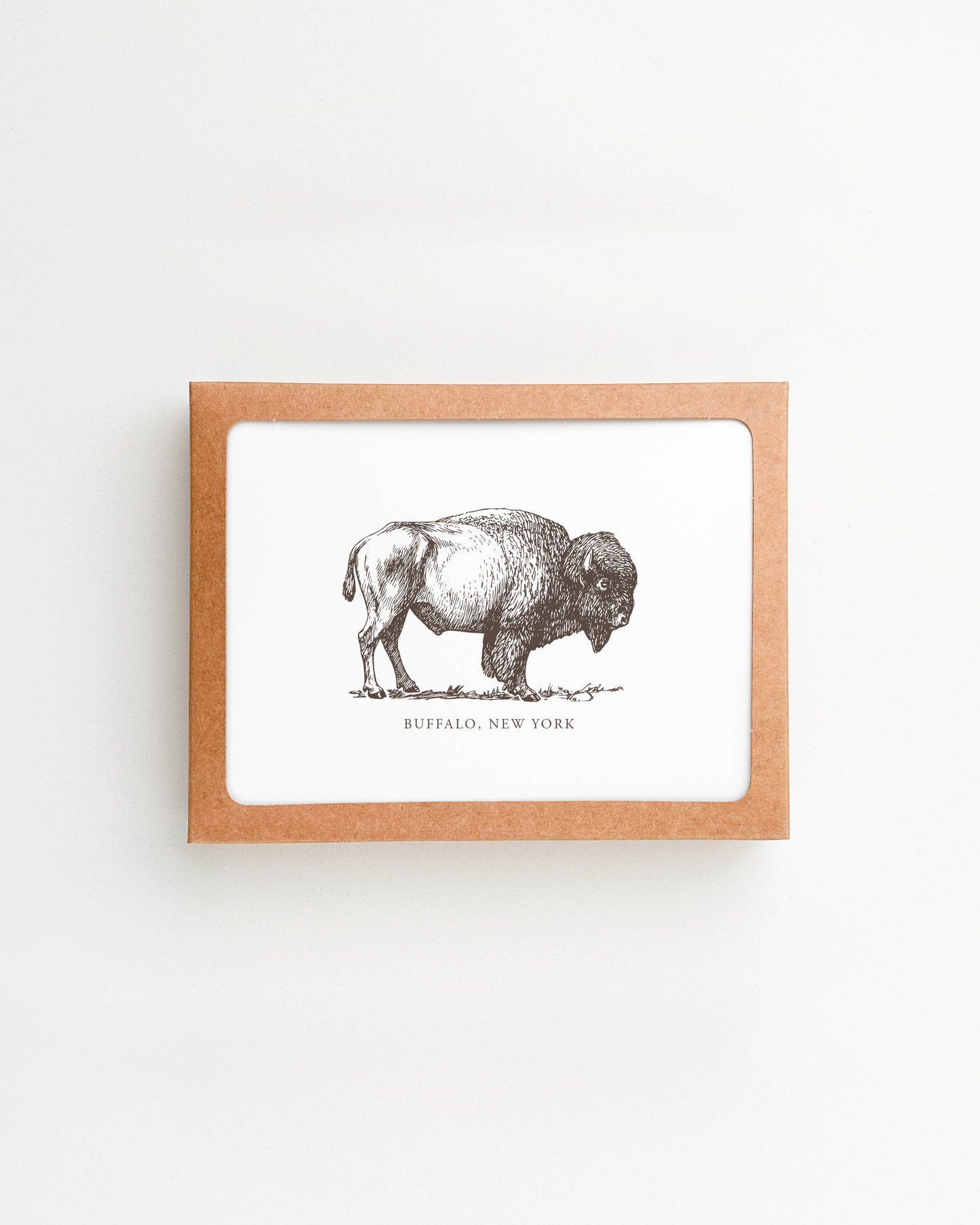 Buffalo Bison Box Card Set