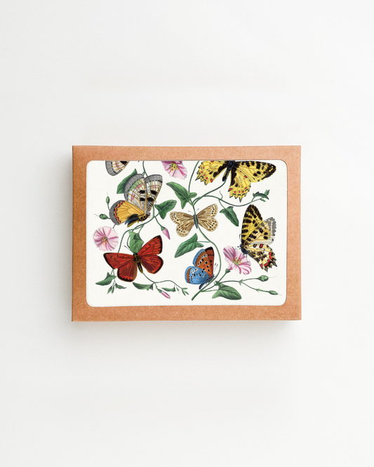 Vintage Butterfly Box Card Set
