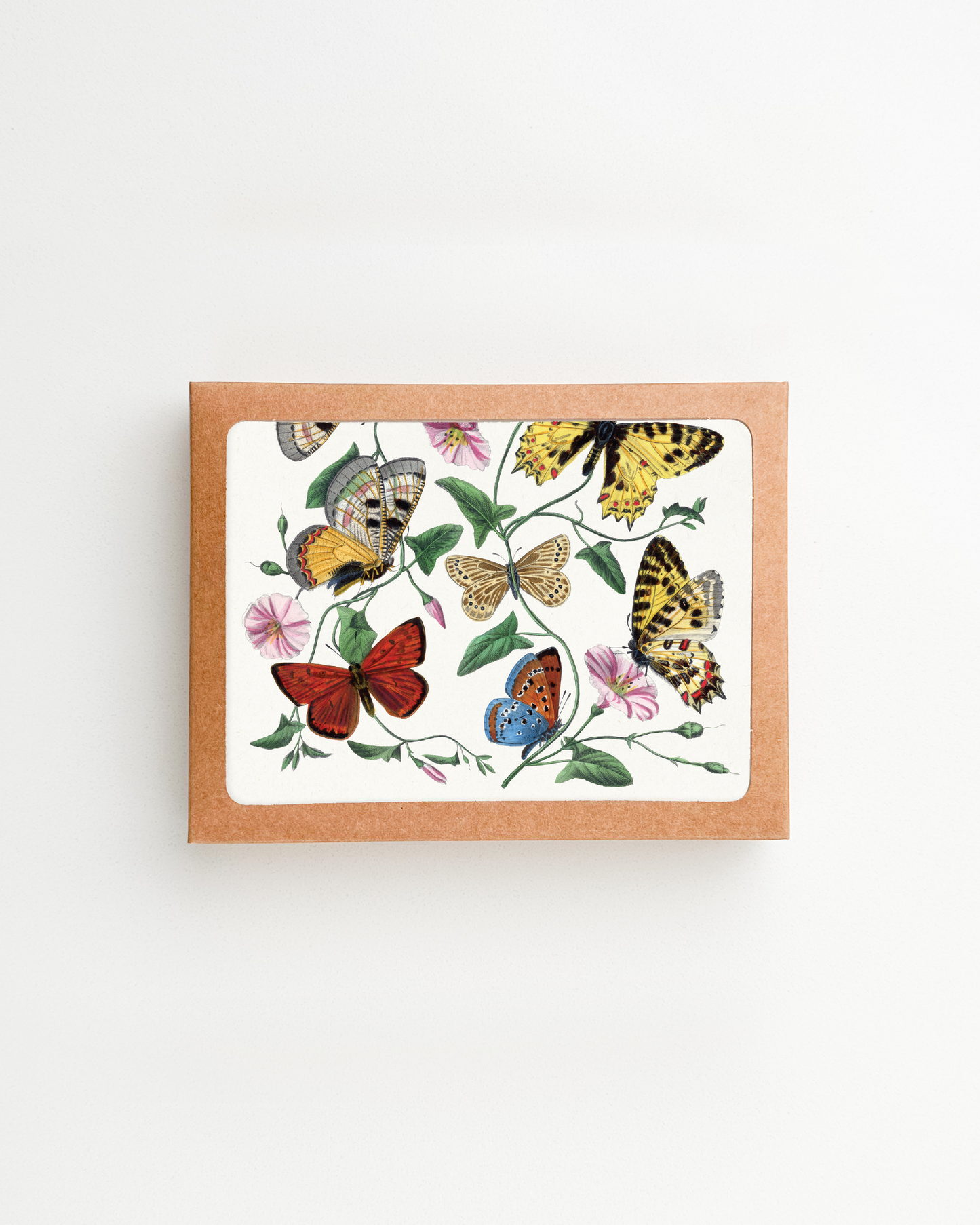 Vintage Butterfly Box Card Set