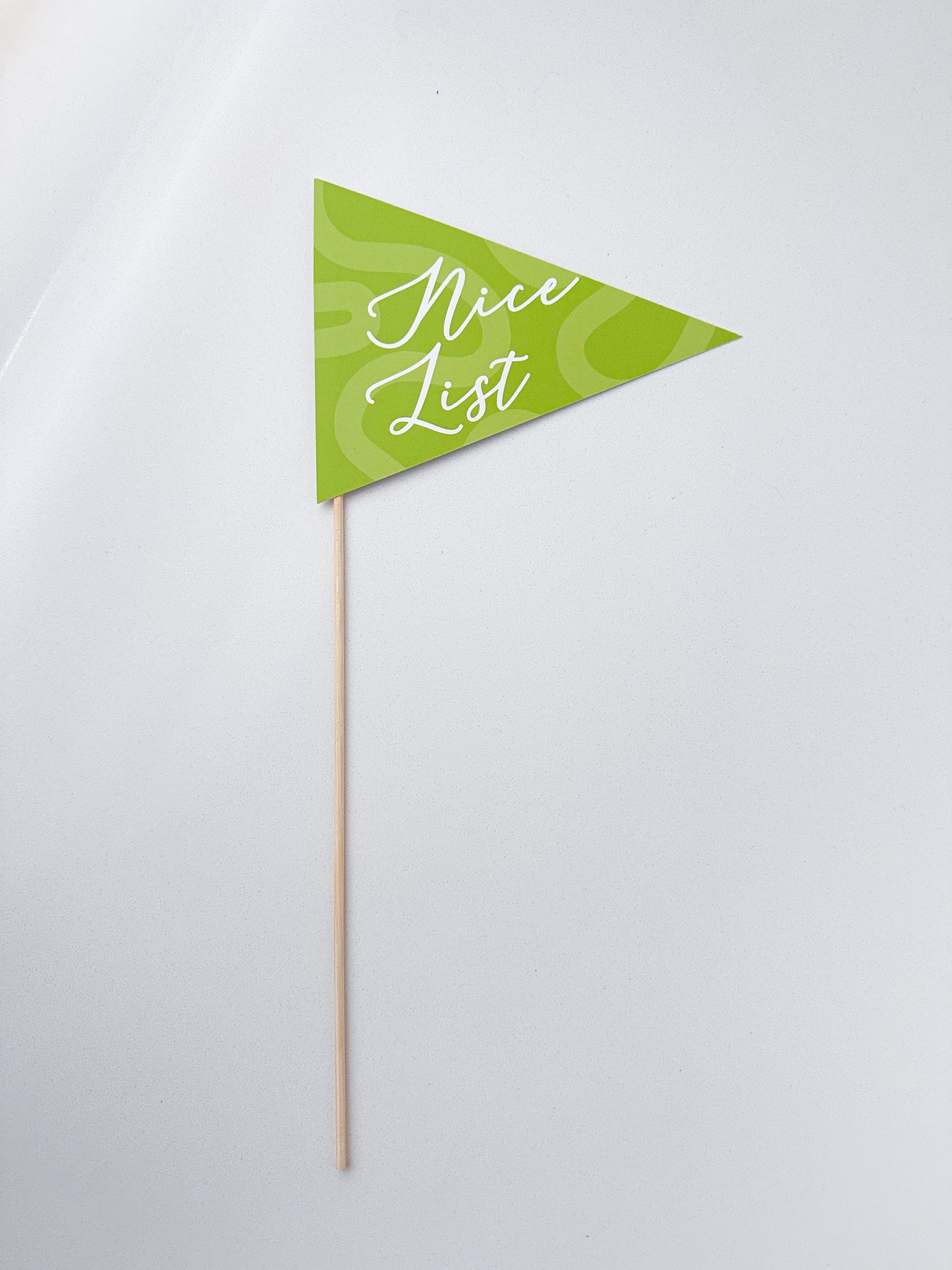Colorful Paper Pennant