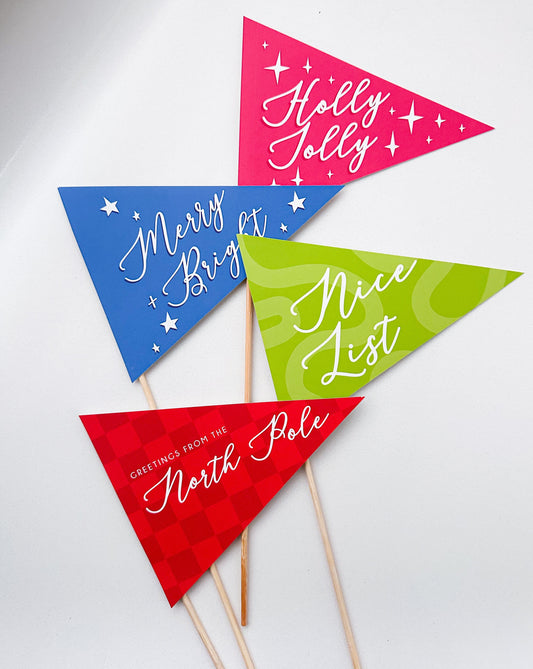 Colorful Paper Pennant